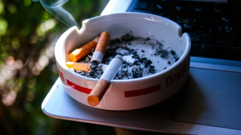 Jak se vyvarovat přepečení tipy a triky